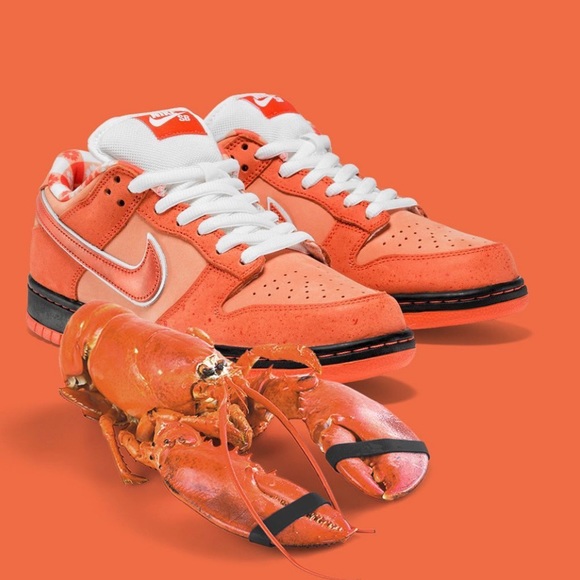 Nike SB Dunk Low x Concepts ‘Orange Lobster’ Special Box - Picture 15 of 15